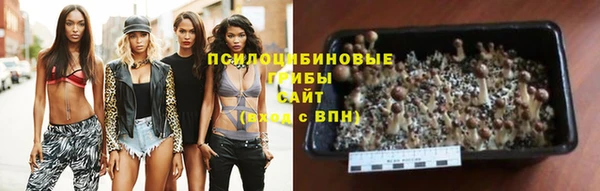 кокс Баксан