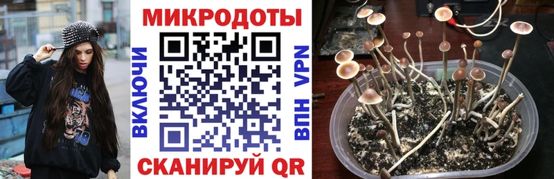Галлюциногенные грибы мухоморы  Пятигорск 